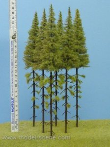 実際は5本です