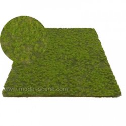 画像1: Model Scene[F516]タフト 春の小さなタフト(18x28cm)