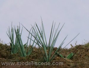 画像1: Model Scene[VG3-007]1/32-1/35 スゲ類 (1)