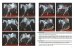 画像6: MrBLACK PUBLICATIONS[SMH-TC10]テーマコレクション Vol.10「19世紀の戦争と戦士」