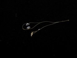 画像6: オレンジホビー[G35-010]1/35WWII独 FuG.Spr.D 自走砲用無線機セット