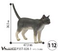 Passion Models[P35T-028-1]1/12 猫好きが認めるネコ(1)