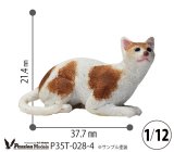 Passion Models[P35T-028-4]1/12 猫好きが認めるネコ(4)