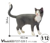 Passion Models[P35T-028-5]1/12 猫好きが認めるネコ(5)