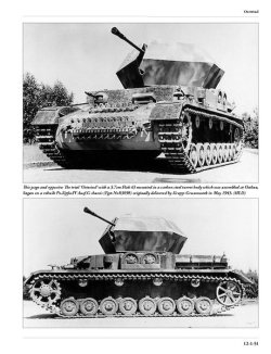 画像11: [PANZER_TRACTS_12-1]Flakpanzer IV
