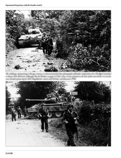 画像12: [PANZER TRACTS 5-2]パンター戦車A型(増補改訂版)