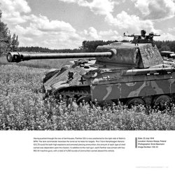 画像2: RZM PUBLISHING  Kampfgruppe M?hlenkamp: 5. SS-Panzer Division “Wiking”, Eastern Poland, July 1944