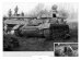 画像10: Panzerwrecks[PW-024]パンツァーレックス　No.24（German Armour 1944-45）