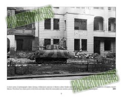 画像11: Panzers in Berlin 1945