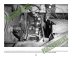 画像6: Panzerwrecks Sturmtiger: The Combat History of Sturmm?rser Kompanies 1000-1002