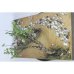 画像3: Paracel Miniatures[AN3513]1/35 汎用 アヒルの大群(20個入) (3)