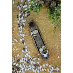 画像4: Paracel Miniatures[AN3513]1/35 汎用 アヒルの大群(20個入)