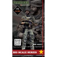 Paracel Miniatures[BS1607]1/16 現用 タスクフォース01 キャプテンP