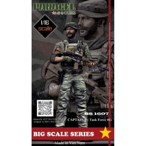 画像1: Paracel Miniatures[BS1607]1/16 現用 タスクフォース01 キャプテンP (1)