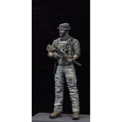 画像4: Paracel Miniatures[BS1607]1/16 現用 タスクフォース01 キャプテンP