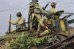 画像4: Paracel Miniatures[BWW3506]1/35 WWII 日本帝国陸軍 戦車跨乗兵ビッグセット