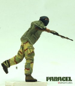 画像4: Paracel Miniatures[MW3504]1/35 テロリストの戦士