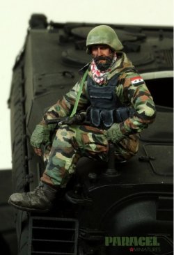 画像3: Paracel Miniatures[MW3507]1/35 シリア政府軍/自由シリア軍 AFV跨乗兵 #1