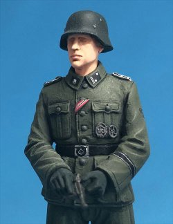 画像6: Passion Models[P35D-008]1/35  武装親衛隊デカール