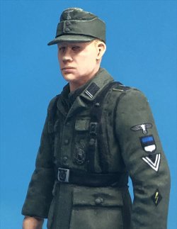 画像7: Passion Models[P35D-008]1/35  武装親衛隊デカール