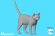 画像1: Passion Models[P35T-027-1]1/16 猫好きが認めるネコ(1) (1)