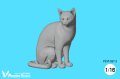 Passion Models[P35T-027-2]1/16 猫好きが認めるネコ(2)