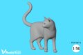 Passion Models[P35T-027-5]1/16 猫好きが認めるネコ(5)