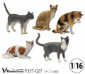 Passion Models[P35T-027]1/16 猫好きが認めるネコ 5種セット