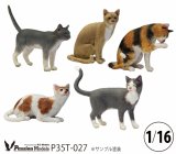 Passion Models[P35T-027]1/16 猫好きが認めるネコ 5種セット