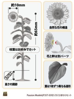 画像3: Passion Models[P35T-039]1/35 ひまわりセット