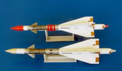 画像1: PlusModel[AL4043]1/48露 空対空ミサイルR-40R AA-6 アクリッド(2発)