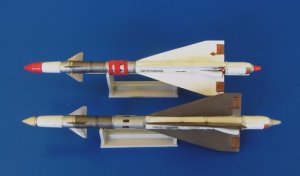 画像1: PlusModel[AL4045]1/48露 空対空ミサイルR-40RD AA-6 アクリッド(2発) (1)