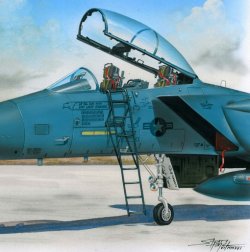 画像1: PlusModel[AL4060]1/48F-15 乗降ラダー(インジェクションキット)