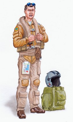 画像1: PlusModel[AL4080]Pilot Mirage 2000