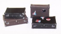 PlusModel[EL061]Suitcases