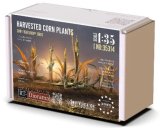 RTディオラマ[RTD35314]1/35 トウモロコシの残渣(12個入り)