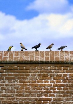 画像1: Reality in Scale[RIS35257]小鳥セット 1(10羽)