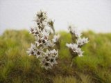 Reality in Scale[FLOW06]小さな白い自然の花 (2)