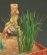 画像1: Reality in Scale[GL-056]水辺の植物セット1(パピルス、フキ、スイレン) (1)