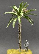 Reality in Scale[PALM01]椰子の樹 01(高さ26センチ: 根本含む)