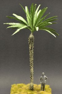 Reality in Scale[PALM05]椰子の樹 05(高さ26センチ: 根本含む)