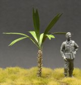Reality in Scale[PALM14]椰子の樹 14(高さ8センチ: 根本含む)