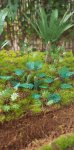 画像10: Reality in Scale[PLA01]ジャングルの植物セット その1