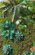 画像8: Reality in Scale[PLA03]ジャングルの植物セット その3 (8)