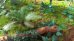 画像11: Reality in Scale[PLA04]ジャングルの植物セット その4