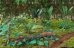 画像10: Reality in Scale[PLA04]ジャングルの植物セット その4