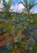 画像7: Reality in Scale[PLA05]ジャングルの植物セット その5