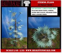 Reality in Scale[PLA06]ジャングルの樹 その1