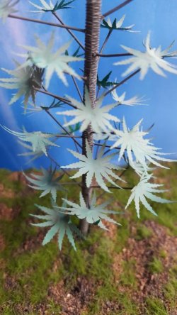 画像4: Reality in Scale[PLA06]ジャングルの樹 その1