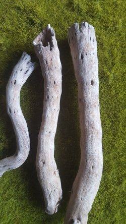 画像7: Reality in Scale[PLA08]1/35 ジオラマ素材 枯れた倒木と枝セット(天然素材)